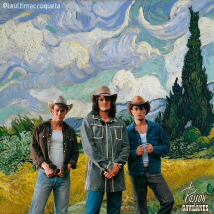 PASIÓN DE GAVILANES